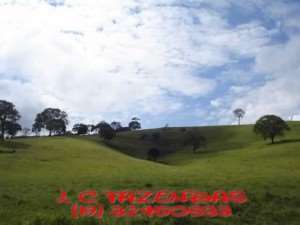 Fazenda em lambari - minas gerais