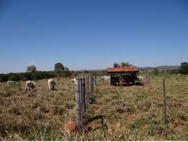 Chapada dos guimares mt (agricultura/pecuária)