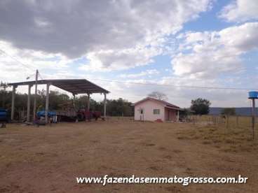 Fazenda nortelandia / mt 200 alqueires