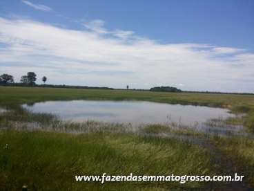 Fazenda pocone / mt 788 hectares