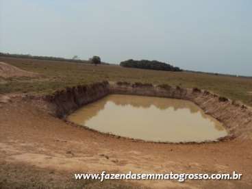 Fazenda pocone / mt 788 hectares